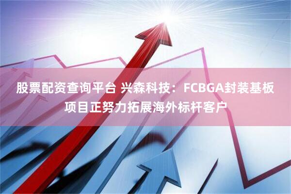 股票配资查询平台 兴森科技：FCBGA封装基板项目正努力拓展海外标杆客户