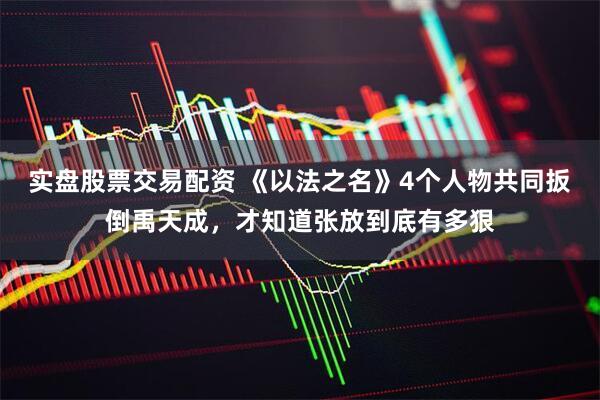 实盘股票交易配资 《以法之名》4个人物共同扳倒禹天成，才知道张放到底有多狠
