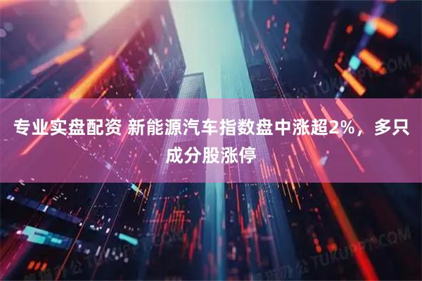 专业实盘配资 新能源汽车指数盘中涨超2%，多只成分股涨停